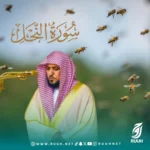 سورة النحل - ماهر المعيقلي - تلاوة خاشعة - منصة روح