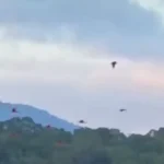 كلمات يسيرة أحب إلى النبي ﷺ من الدنيا وما فيها