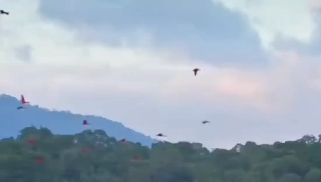 كلمات يسيرة أحب إلى النبي ﷺ من الدنيا وما فيها